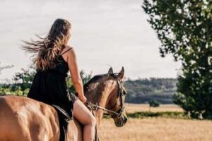 soulhorse-reitpädagogik1